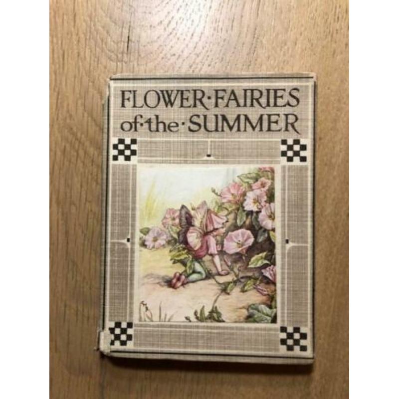 Flower Fairies of the Summer