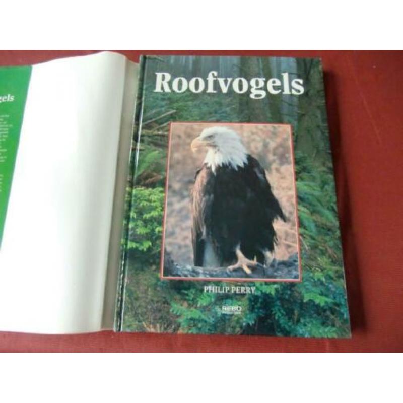 ROOFVOGELS - Philip Perry