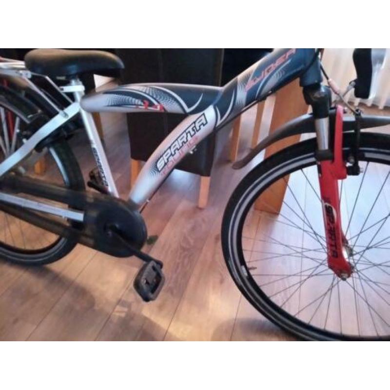 Zgoh Sparta young 26 inch