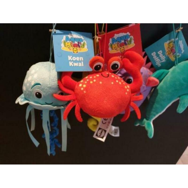 LIDL aqua mini's 5 stuks beschikbaar TE KOOP of RUILEN !!!