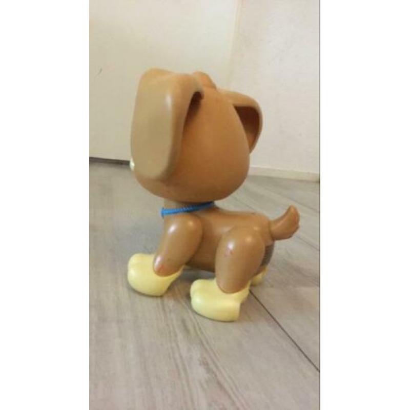 Zelflopende hond