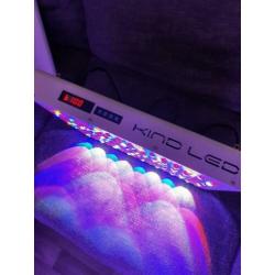 2 stuks - Kind Led k5 XL750 €1350,-