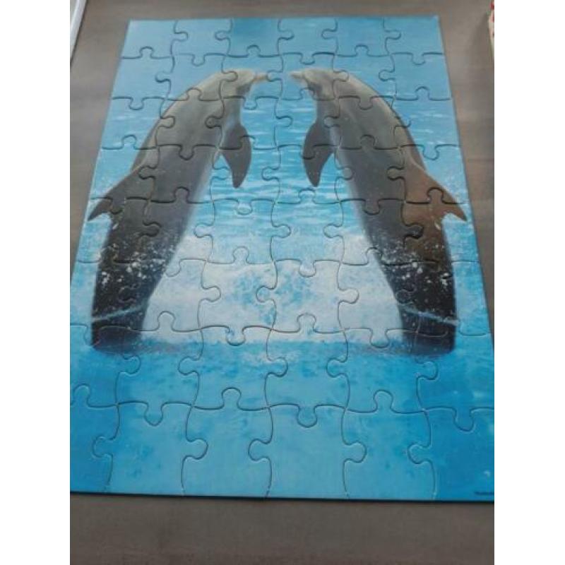 legpuzzel dolfijnen 48 stuks