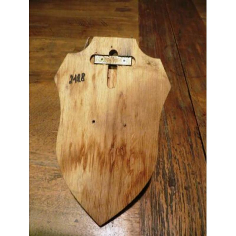 gewei reebok op houten schild