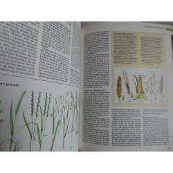 Gezinsgids voor de natuur - Readers Digest