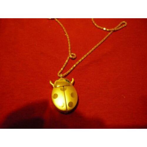 Prachtige ketting met horloge hanger lieveheersbeestje