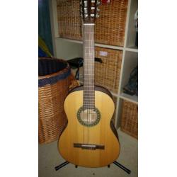 Gitaar