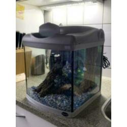 Aquarium Superfish 40