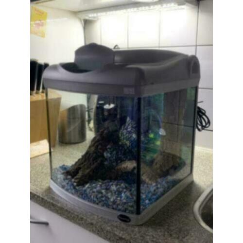 Aquarium Superfish 40