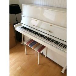 Cherny piano wit
