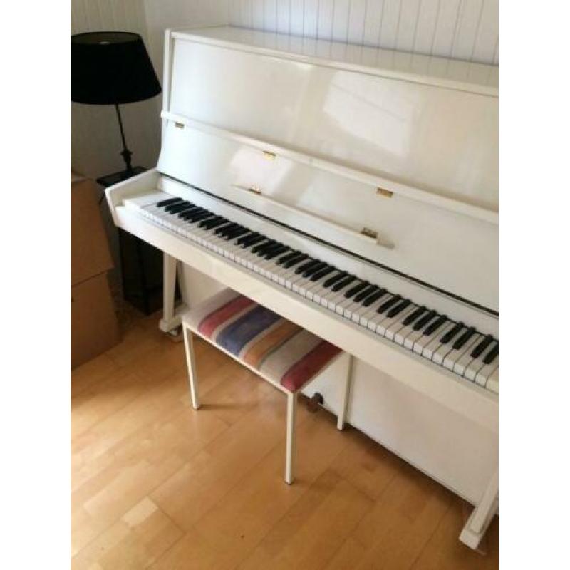 Cherny piano wit