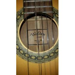 Gitaar