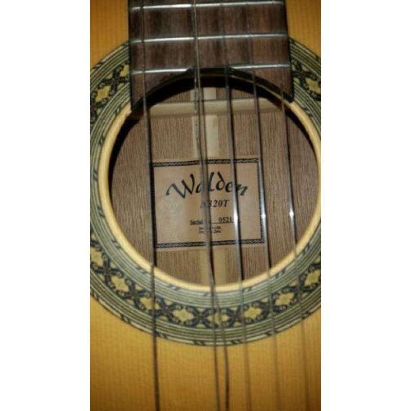 Gitaar