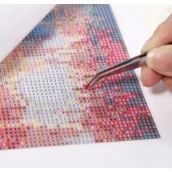 4196 full diamond painting pomeriaan