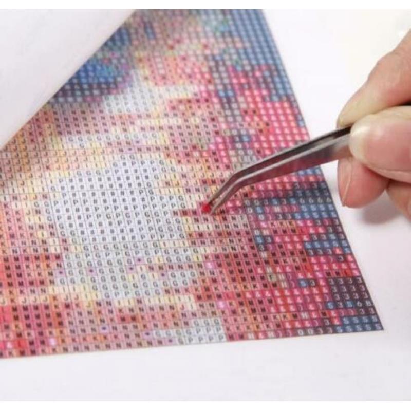 4196 full diamond painting pomeriaan