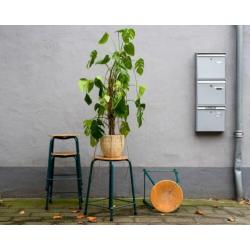 Industriële vintage schoolkrukken - Groen