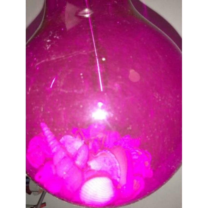 Hang lamp