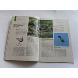 Duits boekje over kievit , Der Kiebitz Vogel des Jahres 1996
