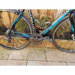 Pinarello paris