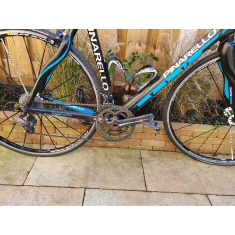 Pinarello paris