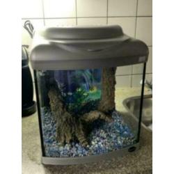Aquarium Superfish 40