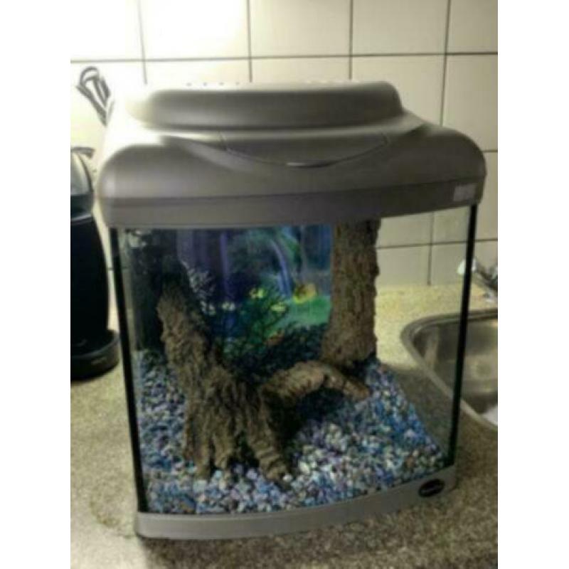 Aquarium Superfish 40