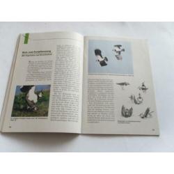 Duits boekje over kievit , Der Kiebitz Vogel des Jahres 1996