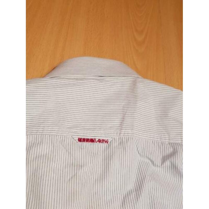 Superdry shirt, wit, blauwe pinstripe, mt M