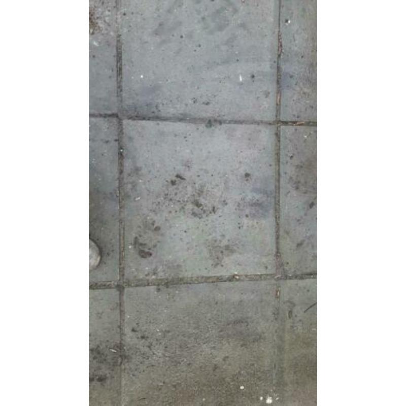 Tegels 50 bij 50 cm.