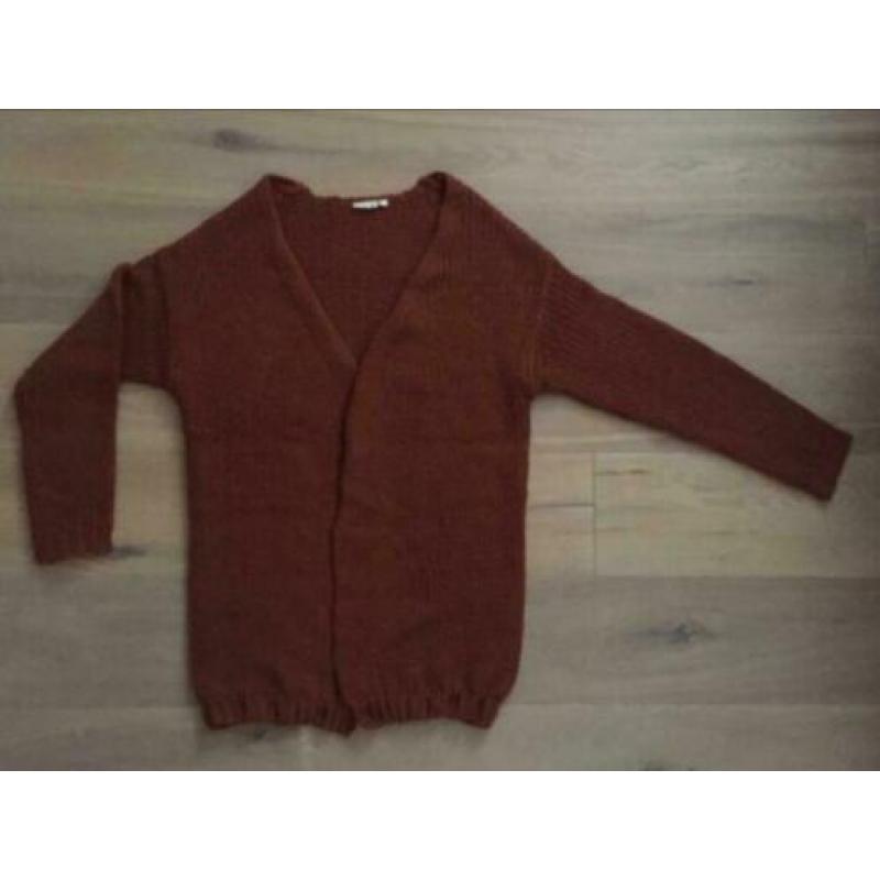Gebreid vest kleur brique maat 42