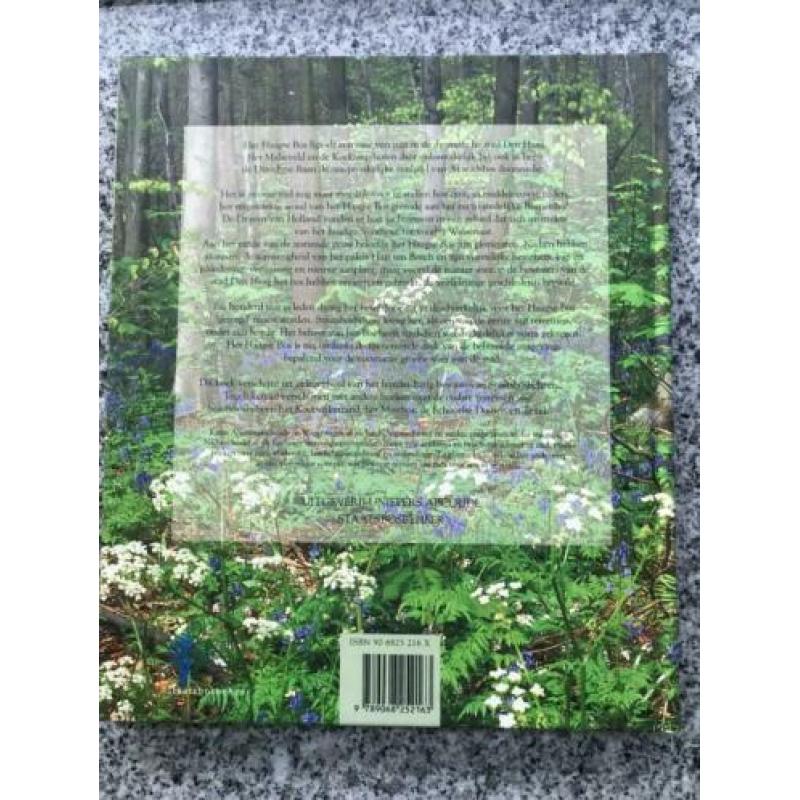 Het Haagse Bos – Den Haag (Karin Anema)