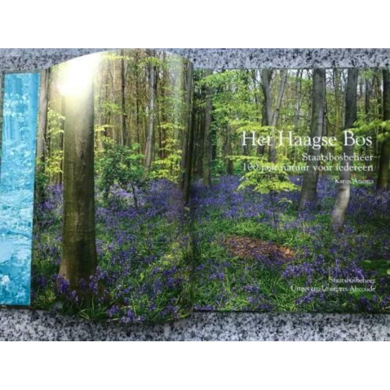 Het Haagse Bos – Den Haag (Karin Anema)