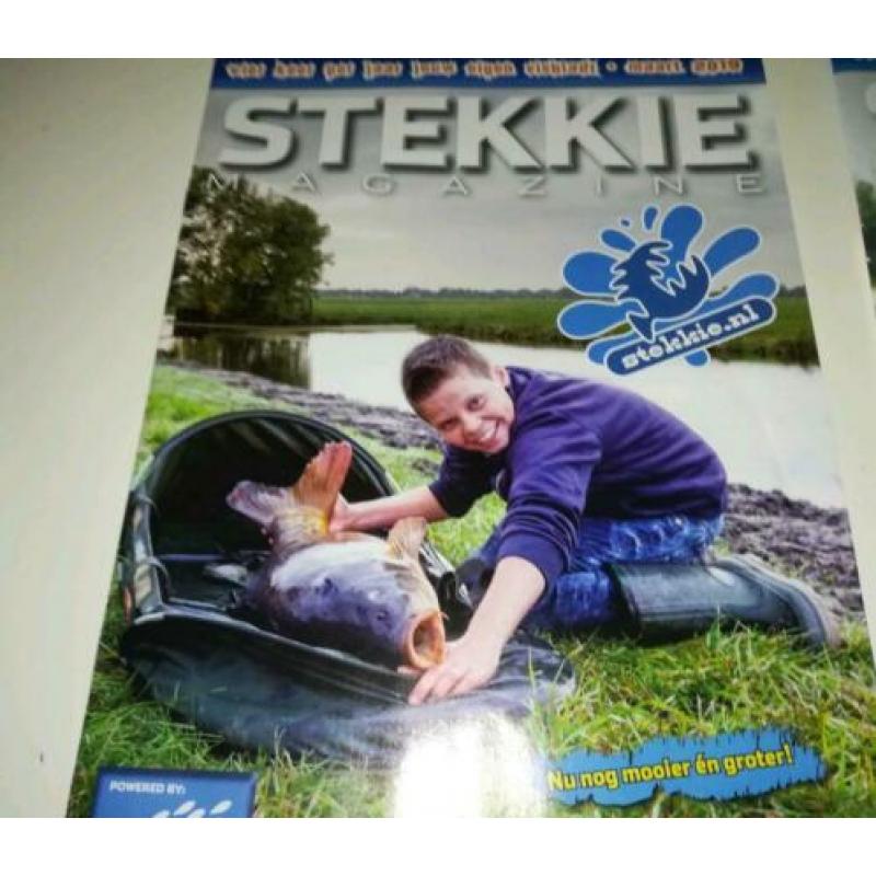 4 Stekkies visbladen
