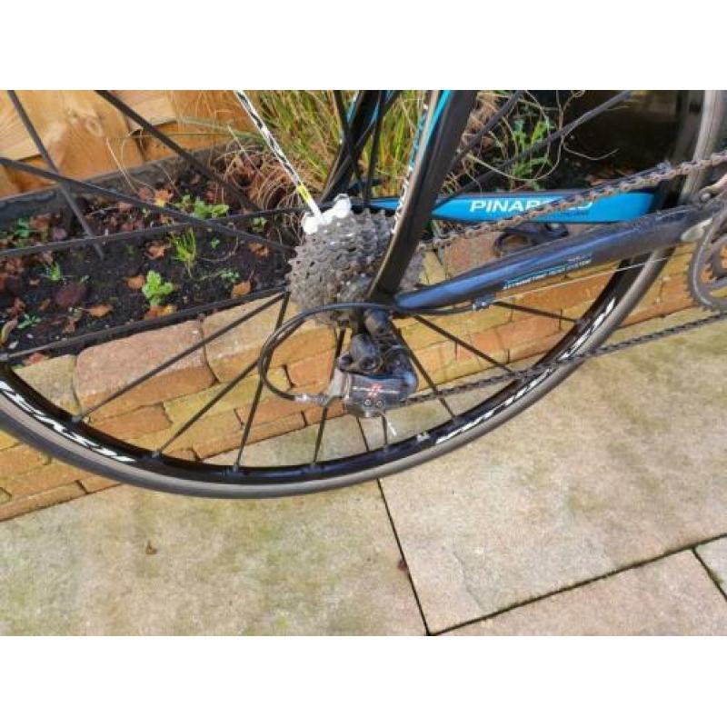Pinarello paris