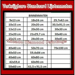 ¦ Diamond Painting Leesplank 3 40*60 Full-Volledig