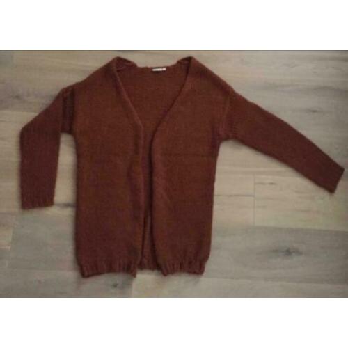Gebreid vest kleur brique maat 42