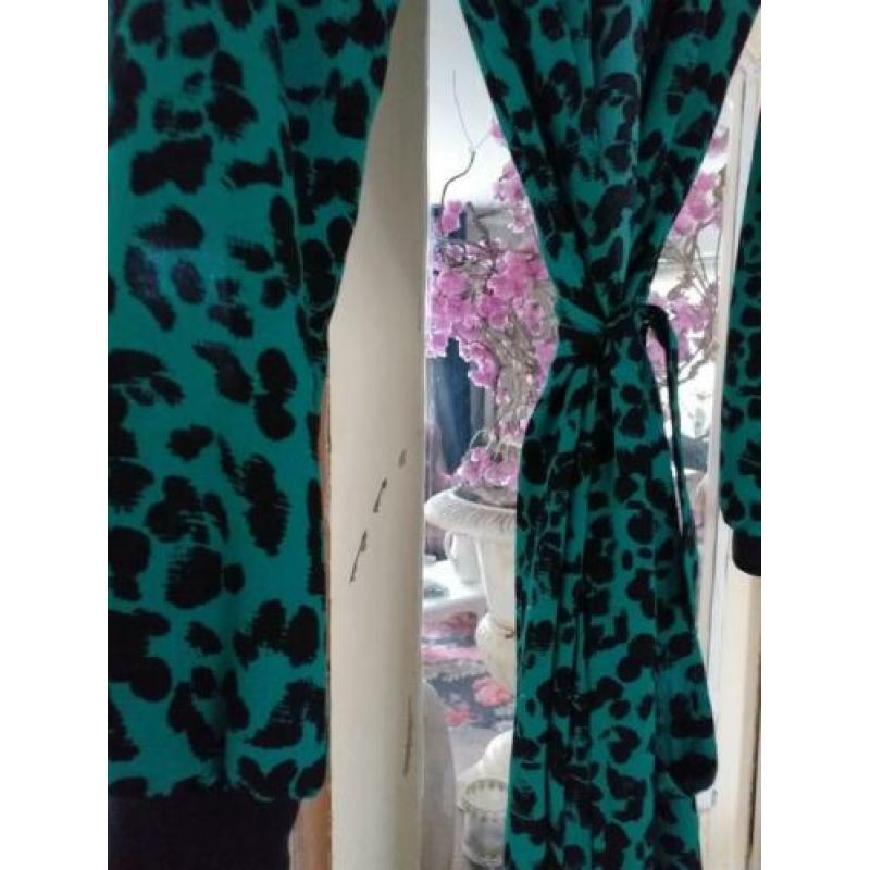 Hip! nieuwe jurk groen zwart leopard ?? Creme de la Creme ??