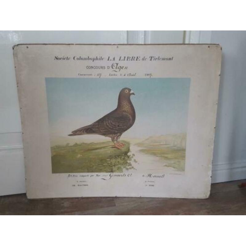 Oude schoolplaat met Duifje uit 1907