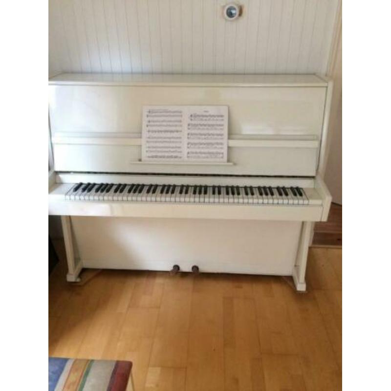 Cherny piano wit