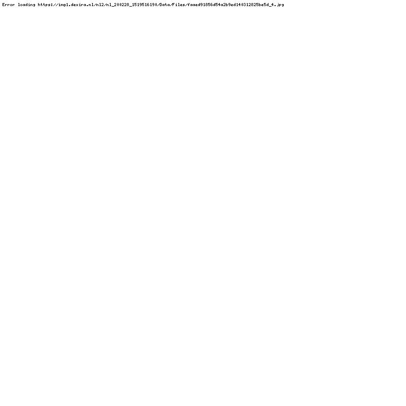 Renault Kangoo 1.2-16V Authentique Airco 2 schuifdeuren