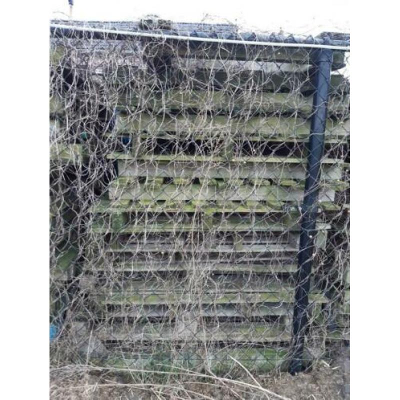 Gratis KACHELHOUT en 50 à 75 gebruikte PALLETS op te halen