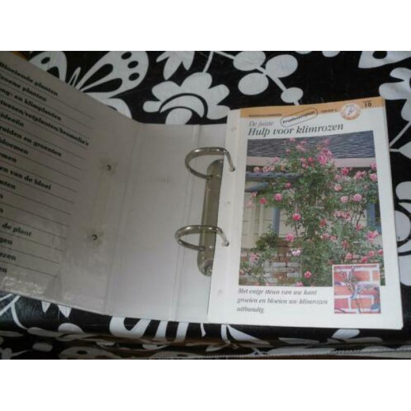 Te koop map kamerplanten