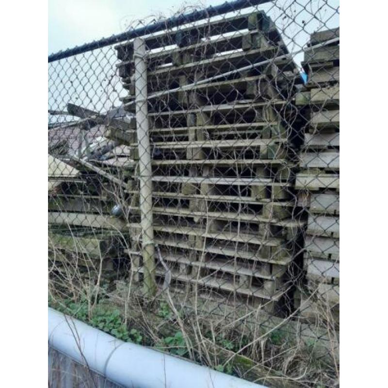 Gratis KACHELHOUT en 50 à 75 gebruikte PALLETS op te halen