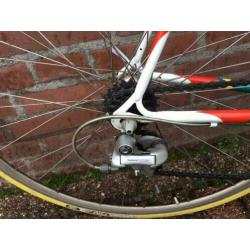 Batavus Competition