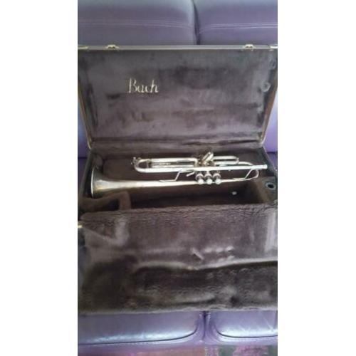 Bach Stradivarius Trompet ML37