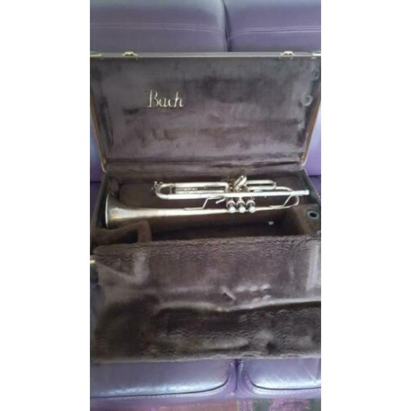 Bach Stradivarius Trompet ML37