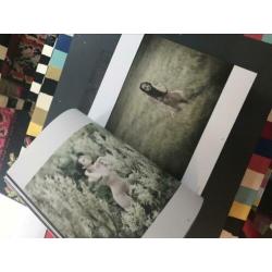 Erotica fotokunst erotische fotografie