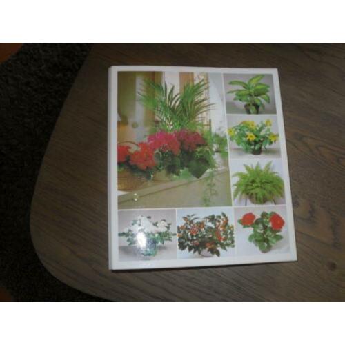 Te koop map kamerplanten