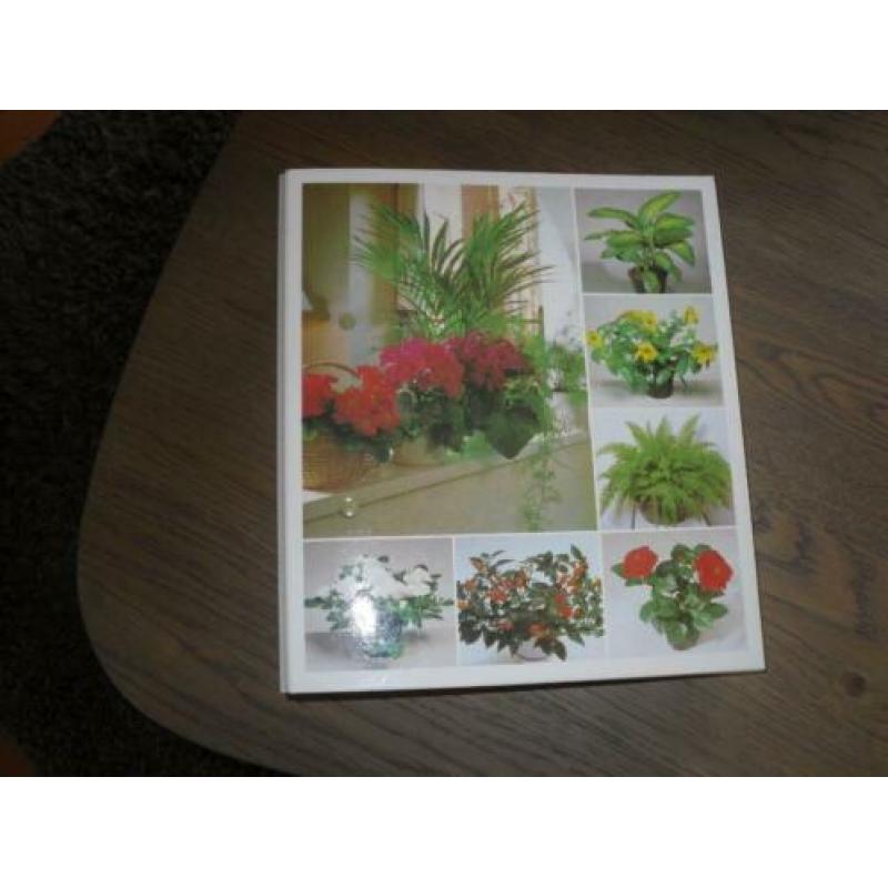Te koop map kamerplanten