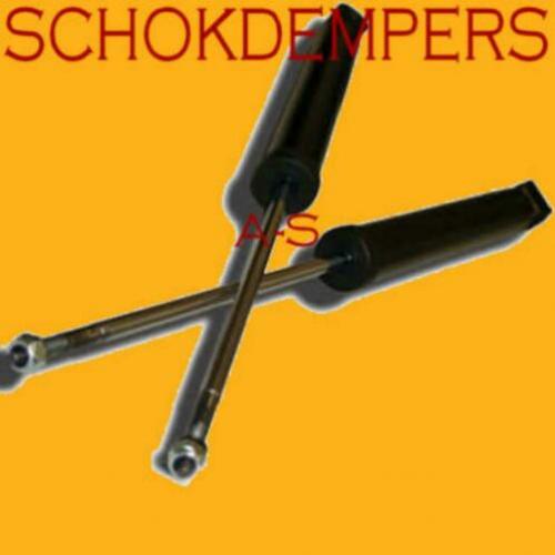 RENAULT CLIO 1998-2010 Schokdempers SCHOKDEMPER Achter AcTiE